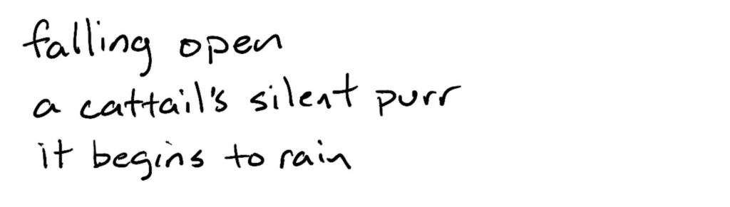 falling open/the cattail’s silent purr/it begins to rain