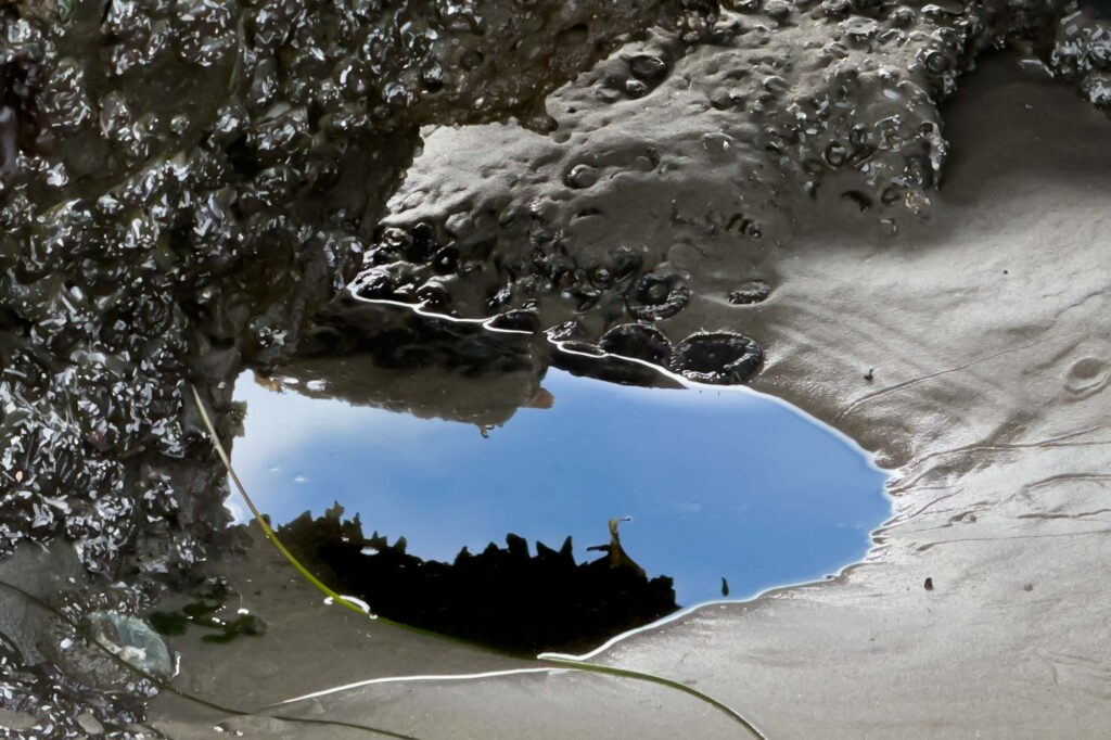 Color photograph of a small tide pool, reflecting the rock above and blue sky.