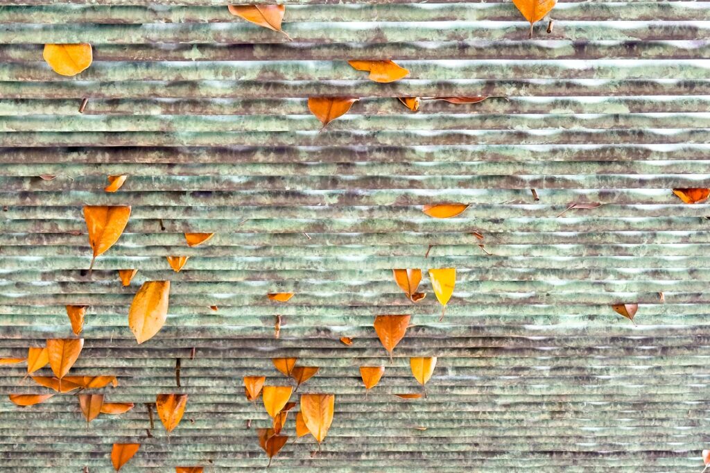 Color photograph of magnolia leaves hanging through slats in an outdoor walkway overhang. The slats are weathered green and magnolia is leaves a striking contrast of orange.