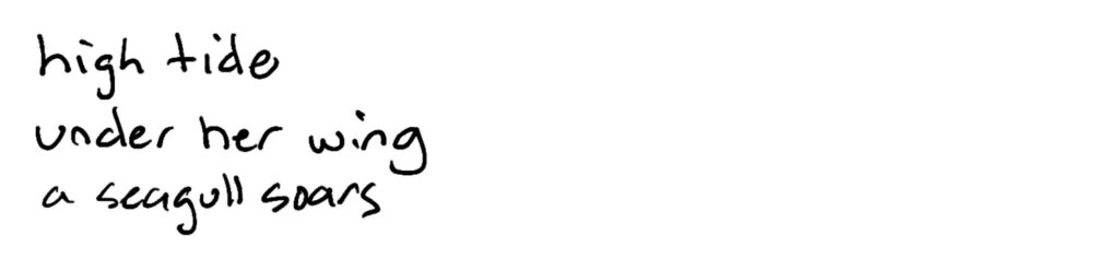 high tide/under her wing/a seagull soars