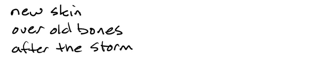 new skin/over old bones/after the storm