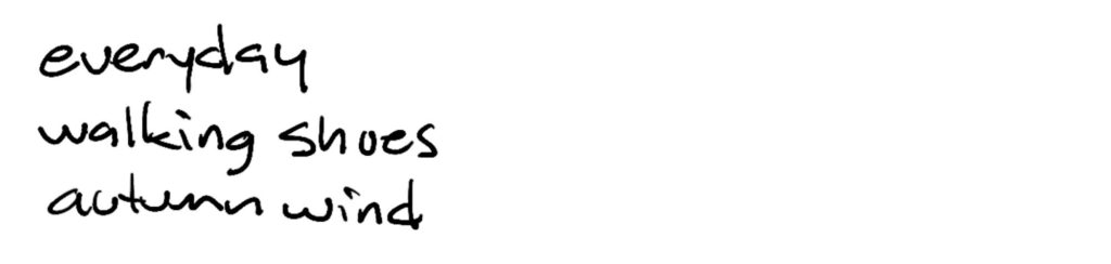 everyday/walking shoes/autumn wind