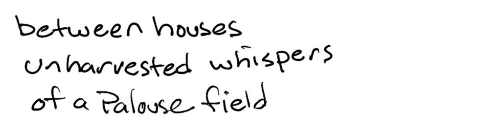 between houses/unharvested whispers/of a Palouse field