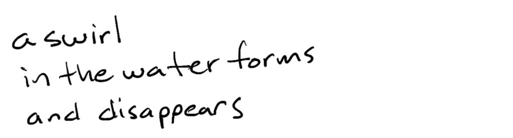 a swirl /in the water forms/and disappears