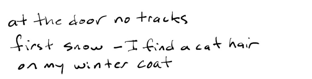 At the door no tracks/first snow –I find a cat hair/on my winter coat