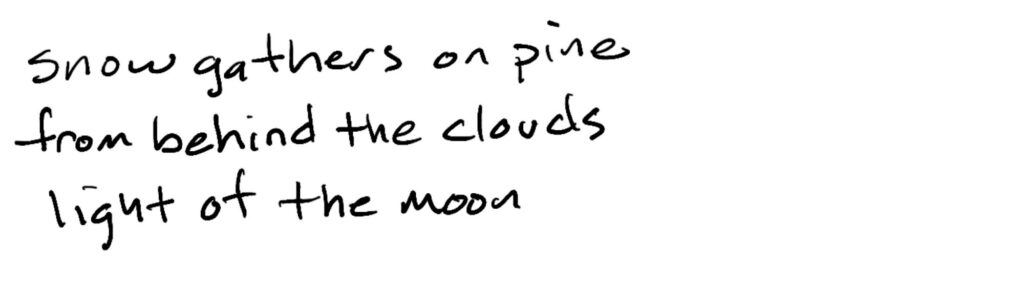 snow gathers on pine/from behind the clouds/light of the moon
