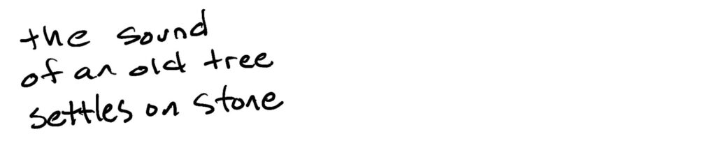 the sound/of an old tree/settles on stone