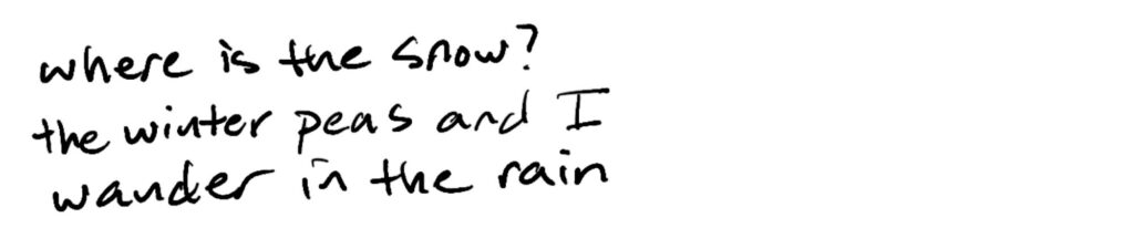where is the snow?/the winter peas and I/wander in the rain