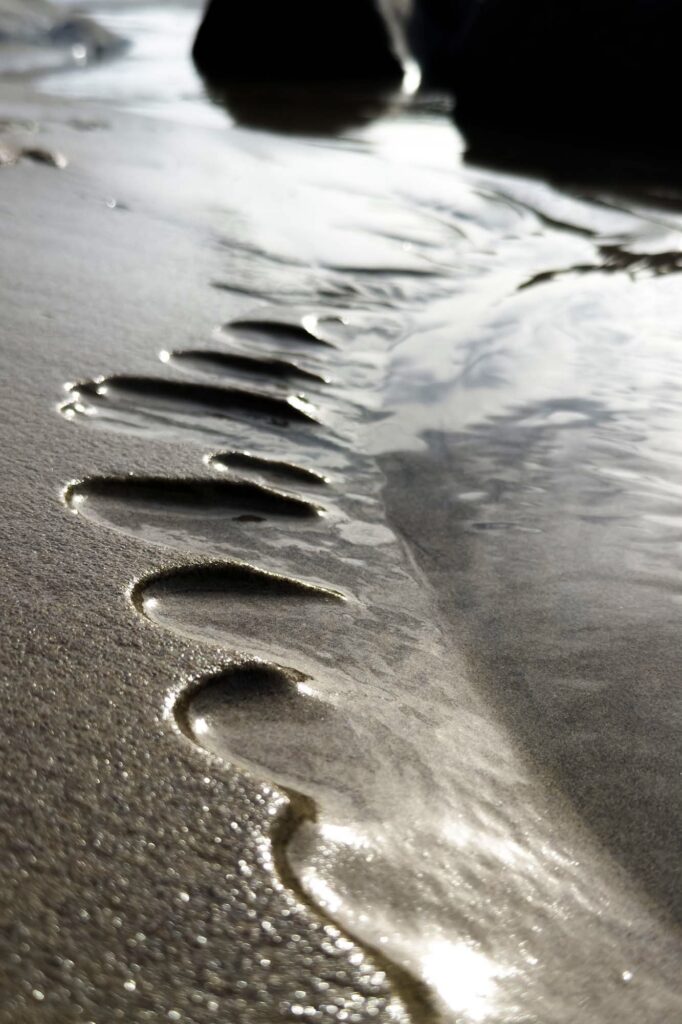 Color photograph at the edge of a tide pool with a row of sand depressions along the pool’s edge going from small to large back to small again backlit in the low winter sun with dark rocks background.