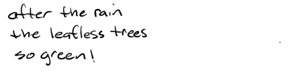 after the rain/the leafless trees/so green!