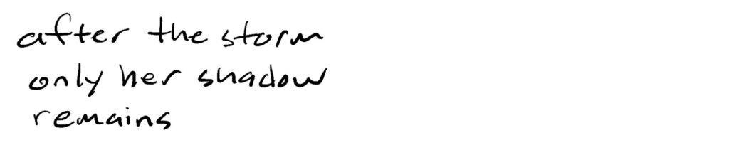 after the storm/only her shadow/remains