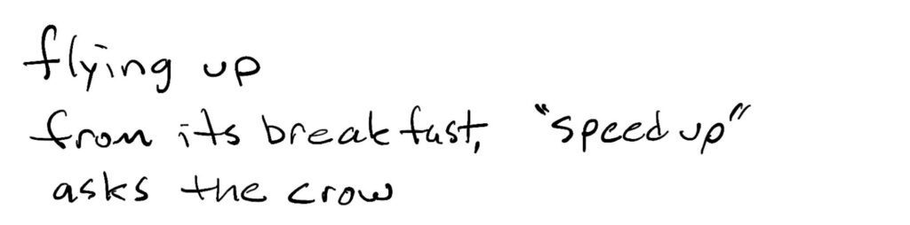 flying up/from its breakfast, “speed up “/asks the crow