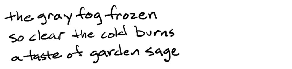 the gray fog frozen/so clear the cold burns/a taste of garden sage