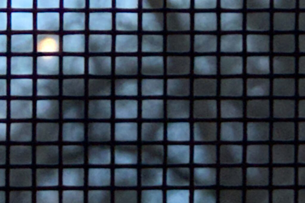 Color close-up photograph of a window screen in the background, an early morning sky with the moon and trees out of focus in the background.