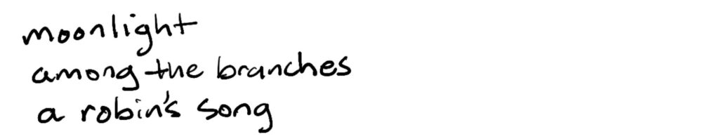 moonlight/among the branches/a robin’s song