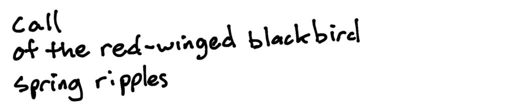 call/of the red-winged blackbird/spring ripples