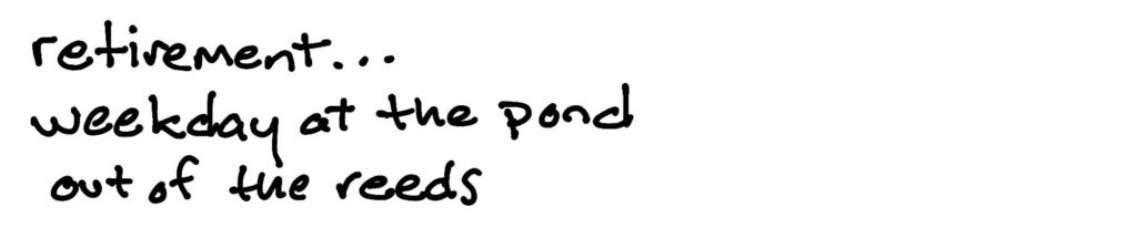 retirement…/weekday at the pond/out of the reeds