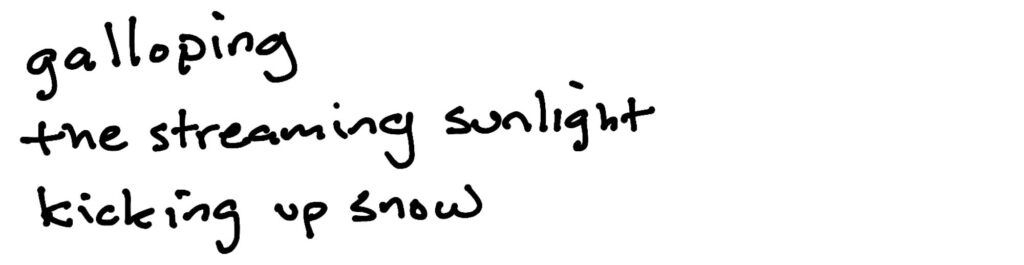 galloping/the streaming sunlight/kicking up snow