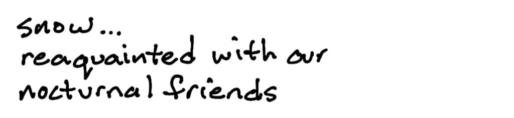 snow…/reacquainted with our/nocturnal friends