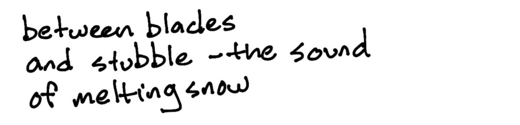 Between blades/and stubble – the sound/of melting snow