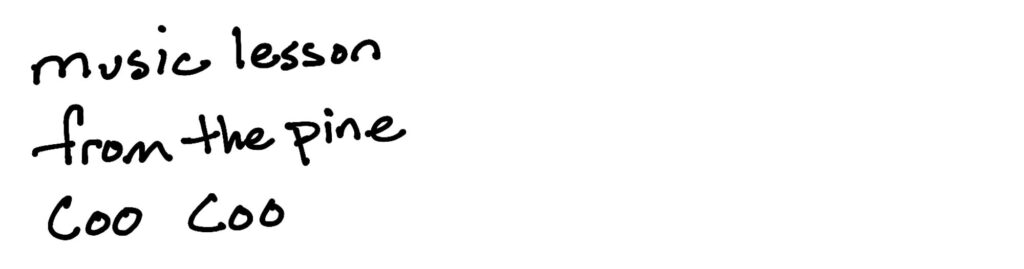 music lesson/from pine/coo coo