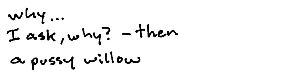 why…/I ask, why? -then/a pussy willow