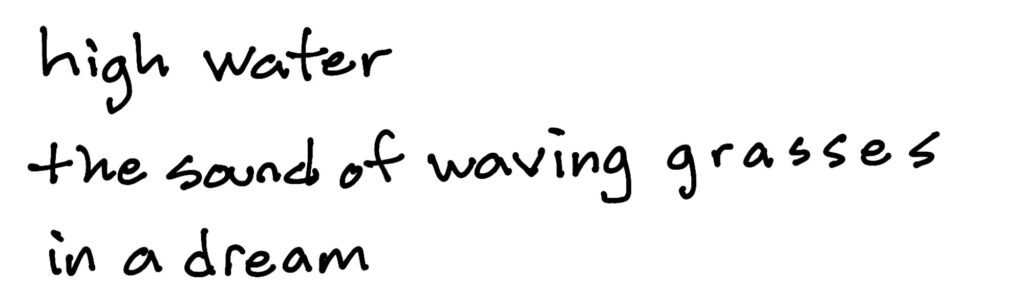 high water/the sound of waving grasses/in a dream