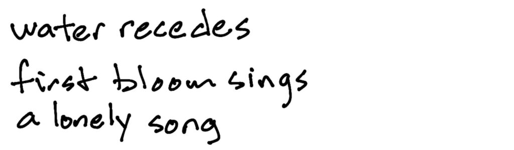 water recedes/first bloom sings/a lonely song