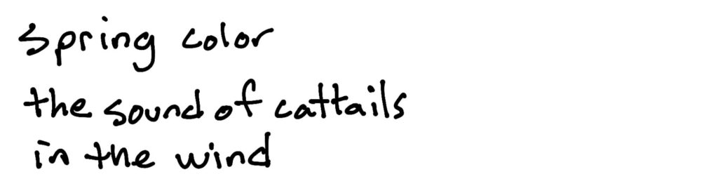 Spring color/the sound of cattails/in the wind