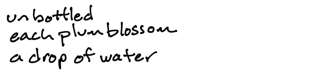 unbottled/each plum blossom/a drop of water