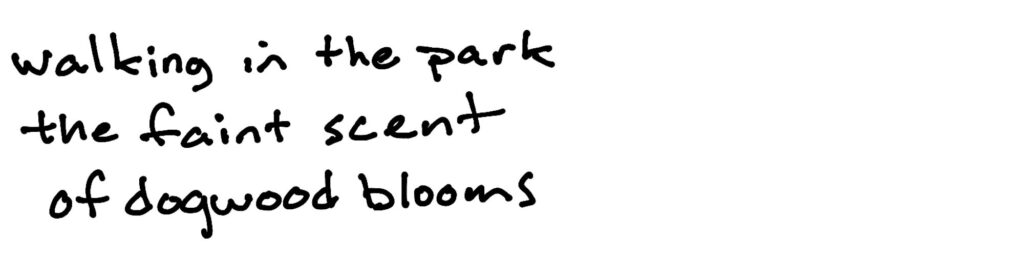 walking in the park/the faint scent/of dogwood blooms