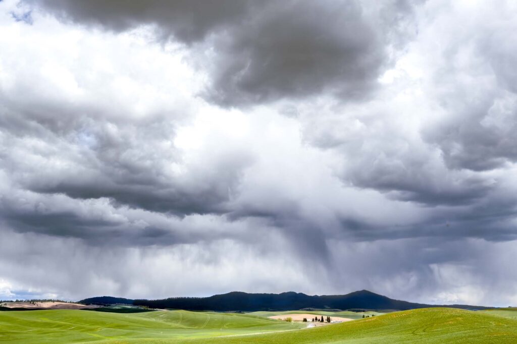 Beyond the green palouse fields, in the distance clouds and rain showers gather over Moscow Mountain.