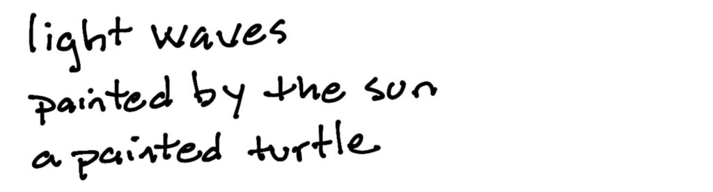 light waves/painted by the sun/a painted turtle