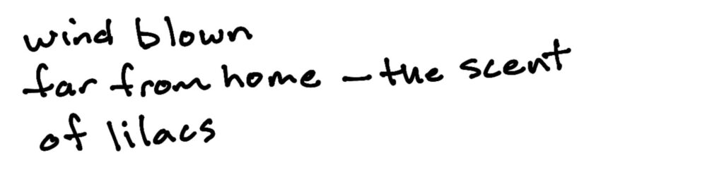 Wind blown/far from home —the scent/lilacs