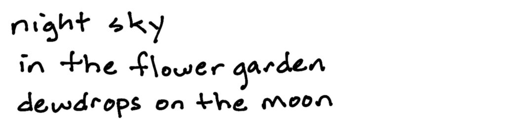 night sky/in the flower garden/do drops on the moon
