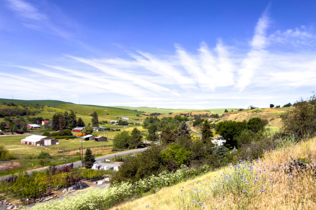 Color photograph of a valley with a road, trees, and houses below the Palouse hills, all under a blue sky with a number horizontal clouds that appear to be old plane contrails.