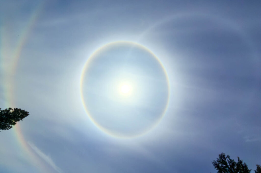 color photograph of a complex solar hail around the sun with streams of clouds runing left to right, on the left and in the lower right, the tops of pine trees.