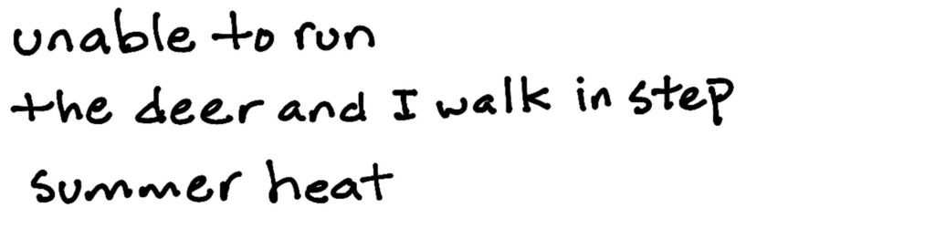 unable to run/the deer and I walk in step/summer heat