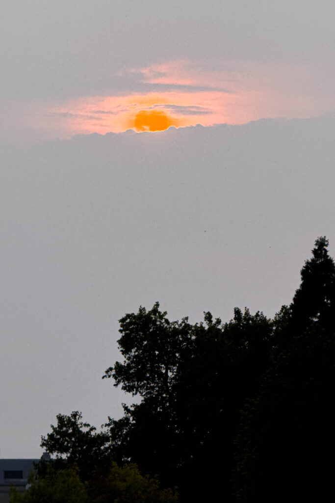 Color photograph of an orange/red sun peeking like an eyeball in a hazy gray sky, trees and building dark, like a silhouette