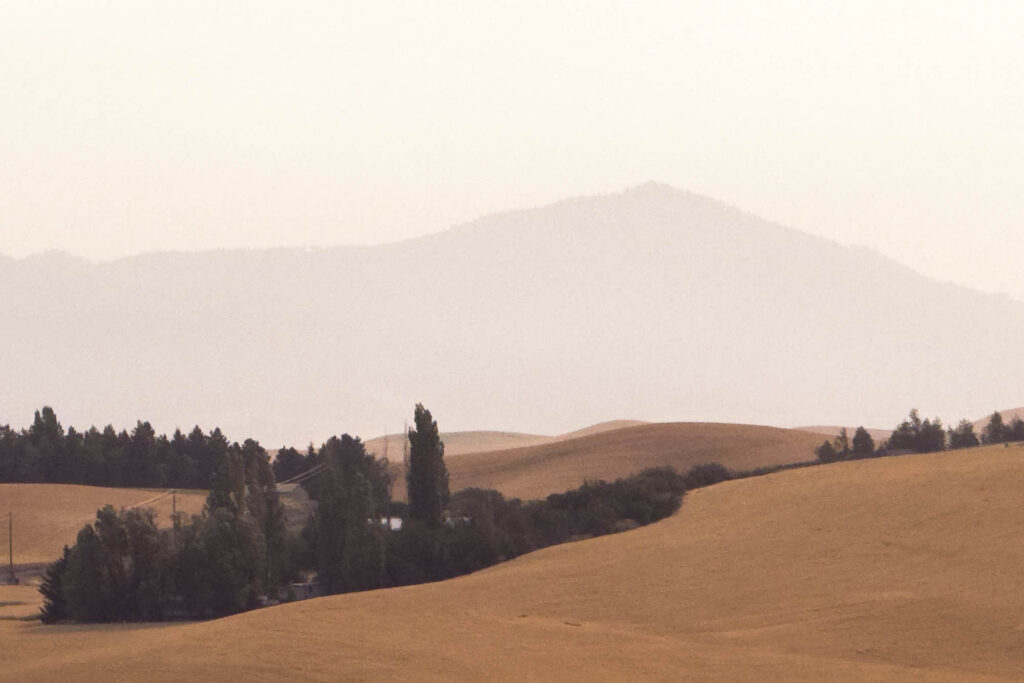 like rain/wildfire smoke--/ghost mountain Color photograph of the Palouse hills in late summer. In the background is Moscow Mountain , faded in the the smoky haze.