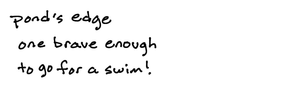 Pond’s edge/one brave enough/to go for a swim!