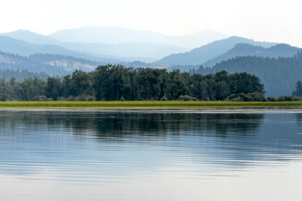 Color Photograph taken from on the lake. The lake is calm and flat, in the distance a row of marsh grasses in front of a row of trees over the trees and beyond mountains fade into the distance, each fading in the haze.