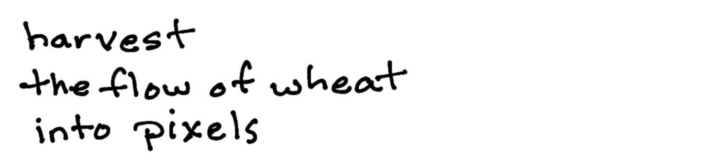 harvest/the flow of wheat/into pixels