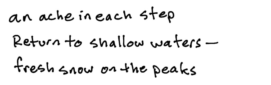 an ache in each step/Return to shallow waters—/fresh snow on the peaks