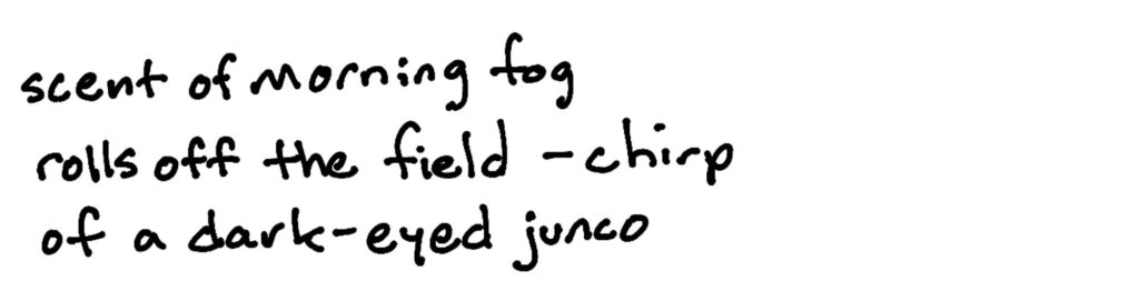 scent of morning fog/rolls off the field –chirp/of a dark-eyed junco