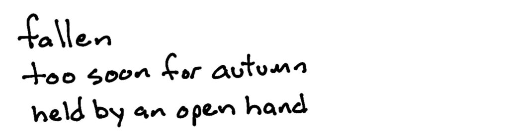fallen/too soon for autumn/held by an open hand