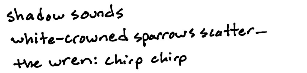 shadow sounds/white-crowned sparrows scatter –/the wren: chirp chirp