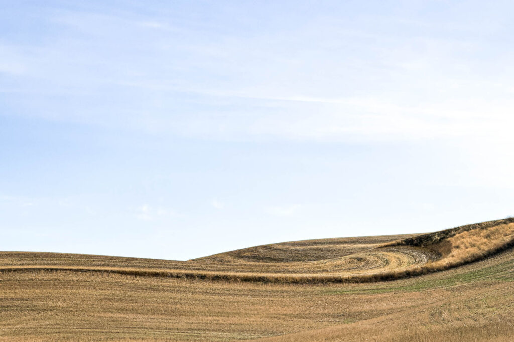 Color photograph of Palouse hills after harvest. The ground is smooth up to the the ridge where it appears a small wave that comes toward the viewer, above the wave a swirl in the field, these patterns flow like swirling water.
