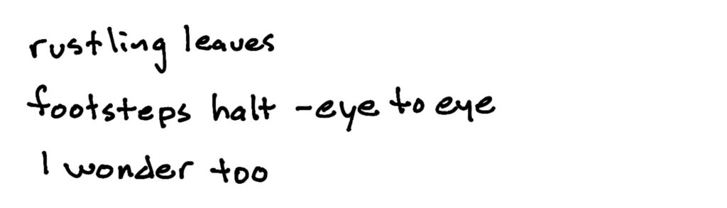rustling leaves/footsteps halt --eye to eye/I wonder too